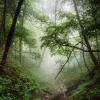 Aventura na selva