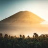 Aventura na selva