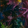 Aventura na selva