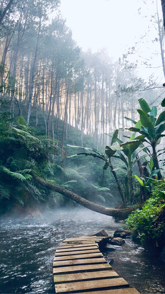 Aventura na selva